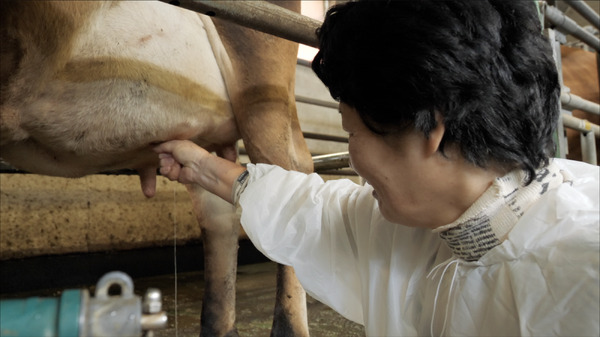 夜間保育からモンテッソーリへ—子育ての未来— 9枚目の写真・画像