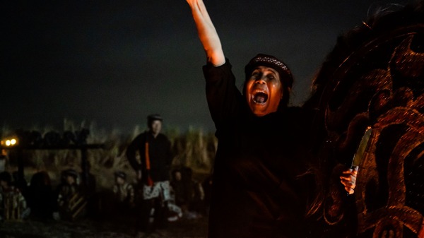 サトウキビは知っている 13枚目の写真・画像