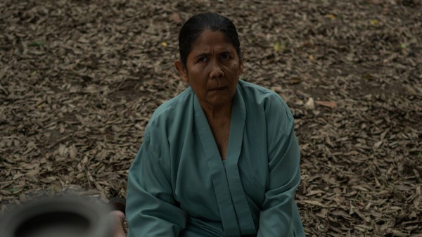 サトウキビは知っている 16枚目の写真・画像