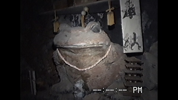 沢田美由紀のガマランドにお邪魔します 11枚目の写真・画像