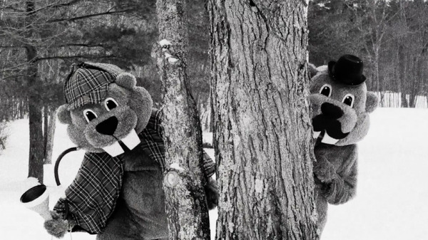 FEVER ビーバー！ 15枚目の写真・画像