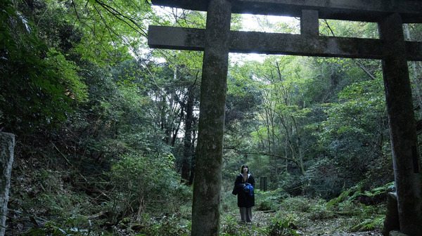 祝山 4枚目の写真・画像