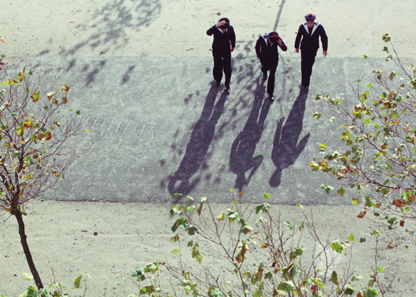 海辺の恋 11枚目の写真・画像