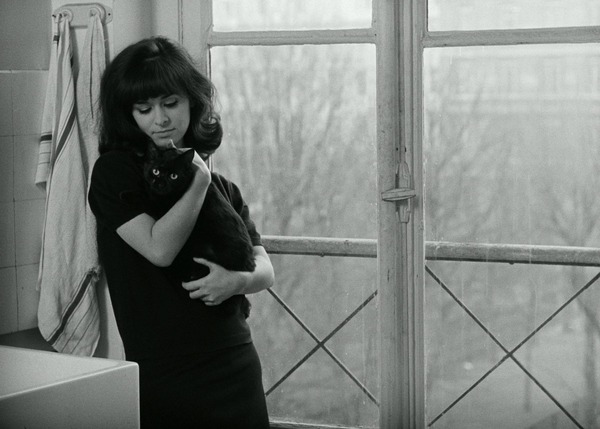 海辺の恋 14枚目の写真・画像