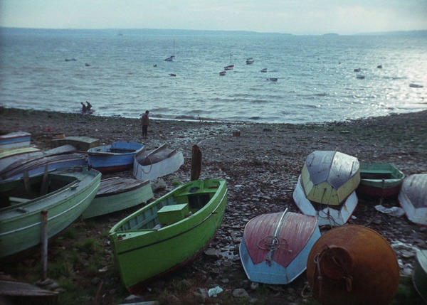 海辺の恋 19枚目の写真・画像