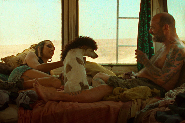 シラート 12枚目の写真・画像