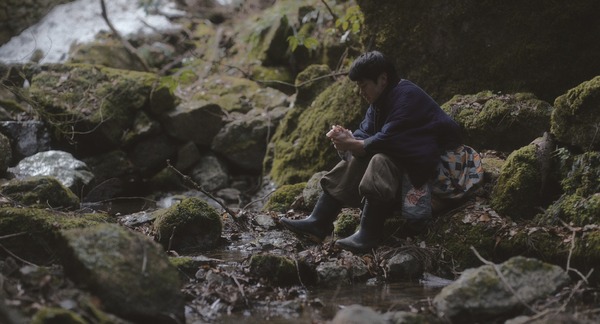 脛擦りの森 14枚目の写真・画像