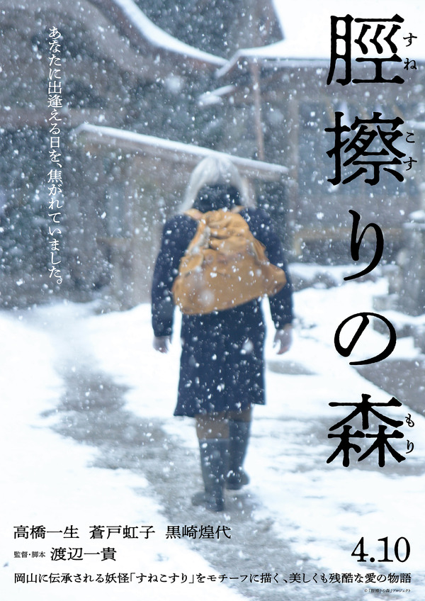 脛擦りの森 17枚目の写真・画像