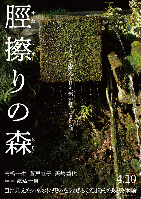 脛擦りの森 24枚目の写真・画像