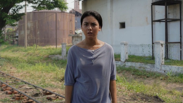 サトウキビは知っている 19枚目の写真・画像