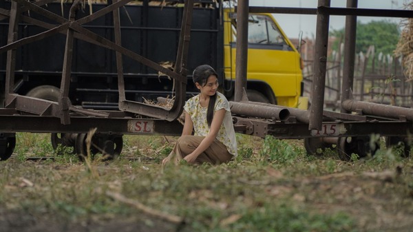 サトウキビは知っている 17枚目の写真・画像