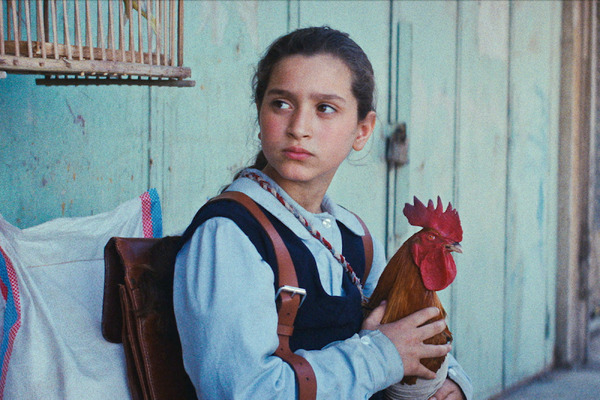 大統領のケーキ 2枚目の写真・画像