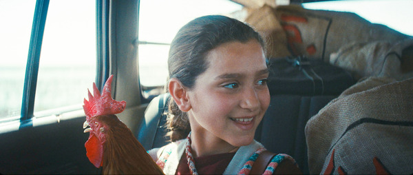 大統領のケーキ 5枚目の写真・画像