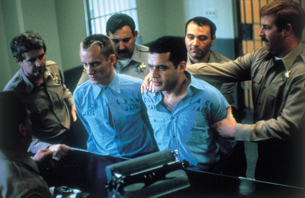 オニオン・フィールド 7枚目の写真・画像