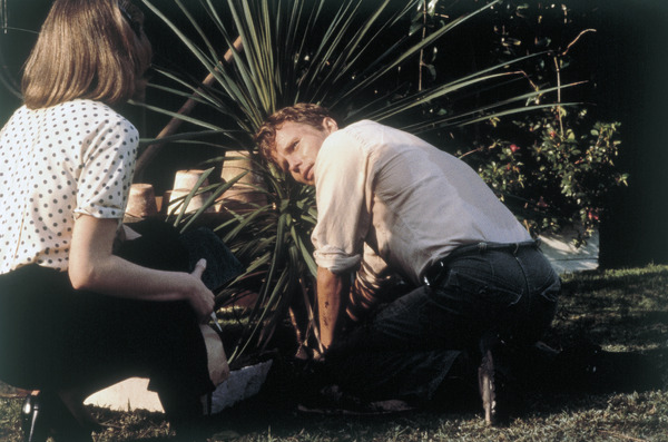 オニオン・フィールド 8枚目の写真・画像