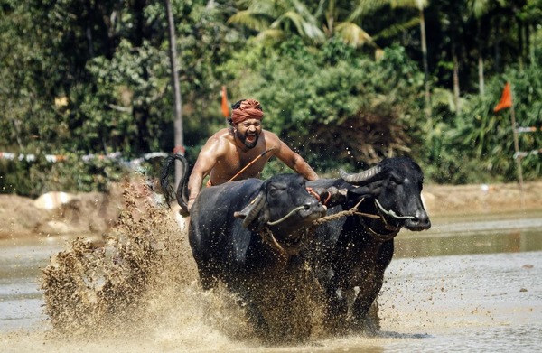カーンターラ 神の降臨 4枚目の写真・画像