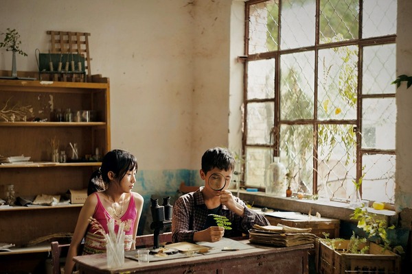 ボタニスト 植物を愛する少年 3枚目の写真・画像