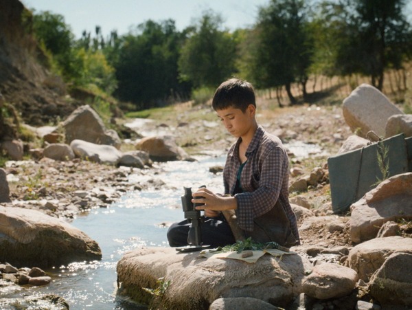 ボタニスト 植物を愛する少年 8枚目の写真・画像