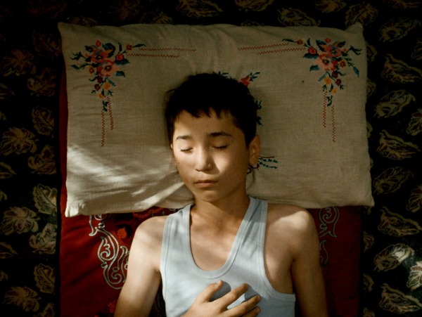 ボタニスト 植物を愛する少年 10枚目の写真・画像