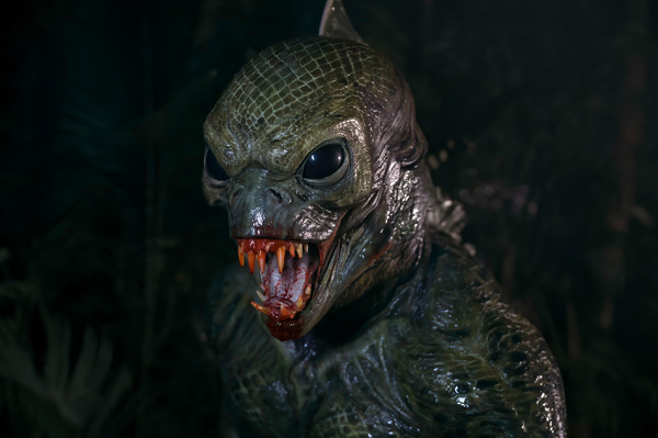 オラン・イカン 12枚目の写真・画像