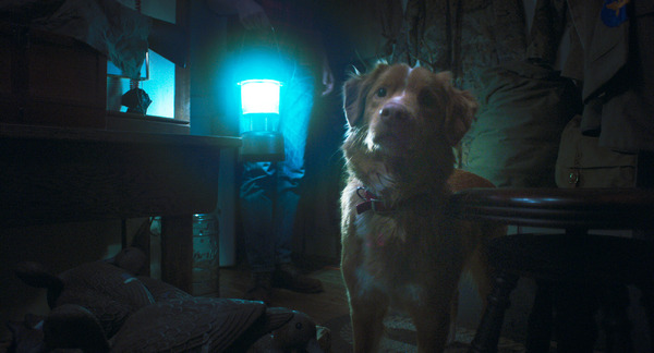 GOOD BOY／グッド・ボーイ 3枚目の写真・画像