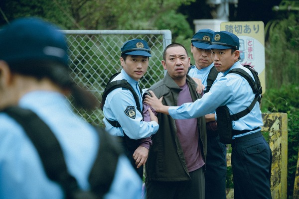 箱の中の羊 15枚目の写真・画像