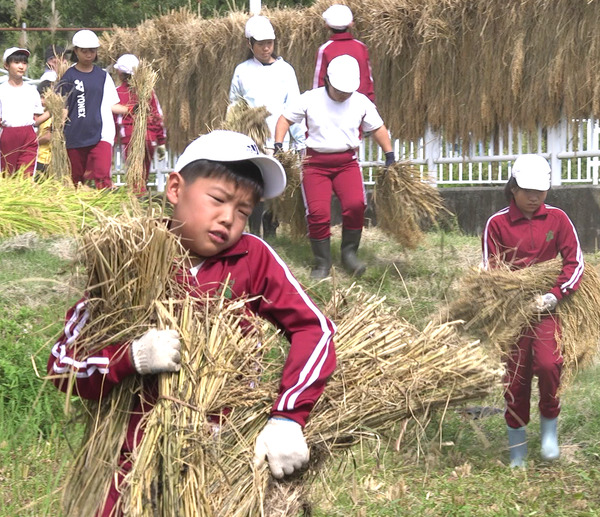 身土不二 6枚目の写真・画像
