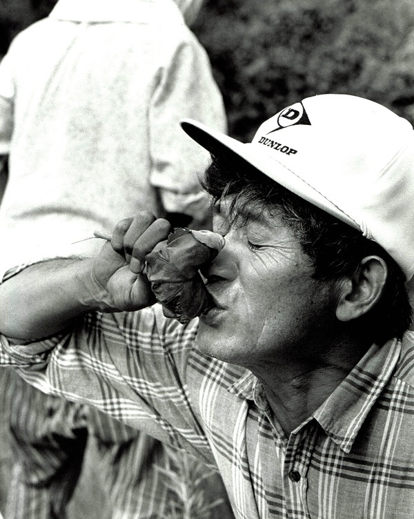 身土不二 9枚目の写真・画像