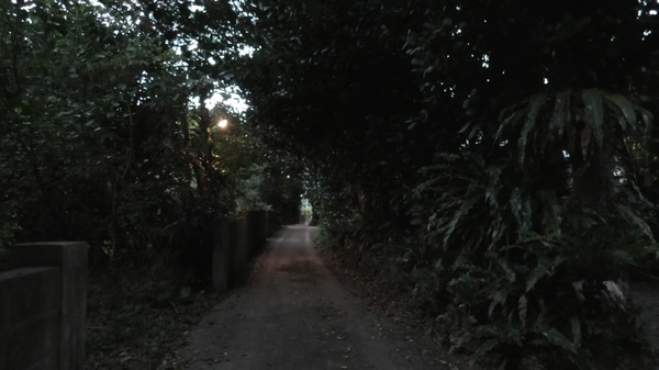 ゆっくり あるく　川村浪子、84歳のダンス 3枚目の写真・画像