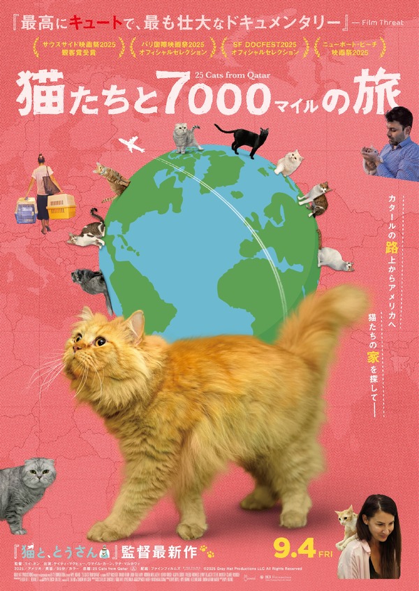 猫たちと7000マイルの旅 1枚目の写真・画像
