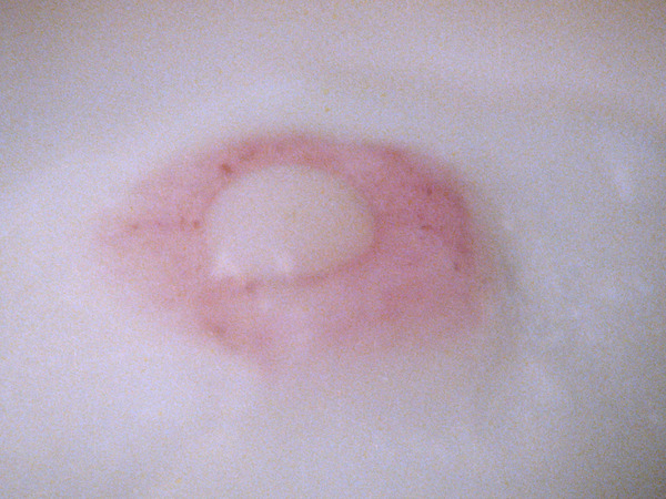 まさゆめ 2枚目の写真・画像