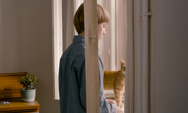 サブ05『ストレンジ・リトル・キャット』© Deutsche Film- und Fernsehakademie Berlin 2013