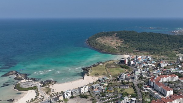 済州島 声たち 8枚目の写真・画像