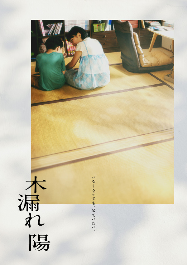 木漏れ陽 1枚目の写真・画像