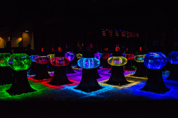 アクアリウムを照明に見立てた「ボンボリウム」