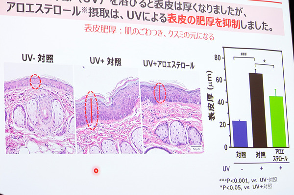 「アロエに含まれる新成分の美肌効果に関する研究結果発表」会見