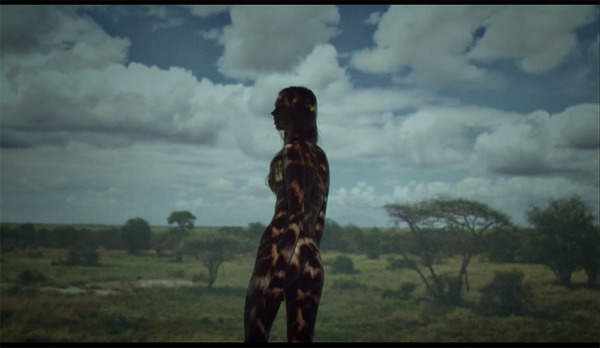 紀里谷和明が手がけた「毛皮反対プロジェクト」