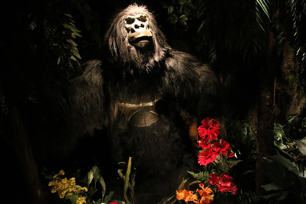 「レインフォレスト カフェ日本1号店」