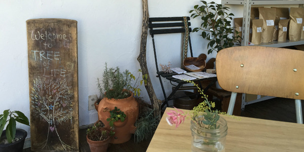 「シャリマ・ドゥ・ラ・テフテフ」による新カフェ「Tree of Life」が東京・用賀にオープン。