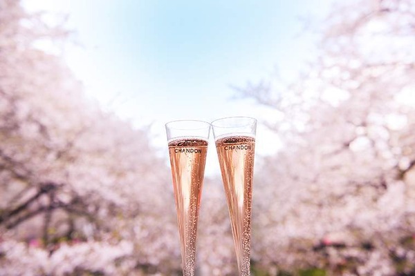 桜色の泡モノ「シャンドン ロゼ」は、お花見にぴったりのお酒。目黒川沿いで桜の開花時期は屋外でグラス1杯から楽しめる。