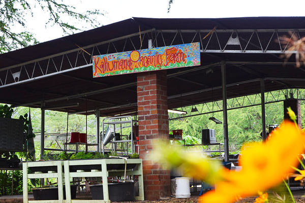 オーガニック・ファーム＆ショッピング体験