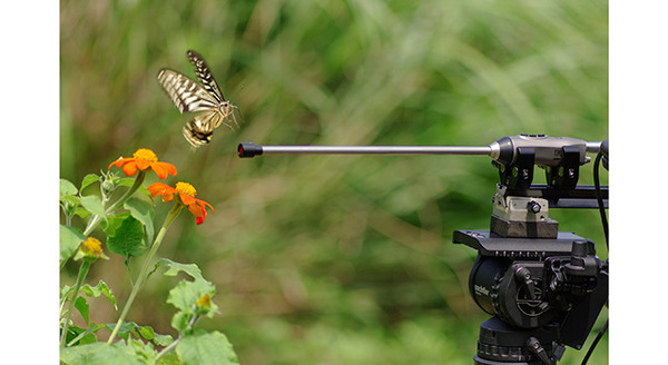 『アリのままでいたい』 - (C) 2015「アリのままでいたい」製作委員会