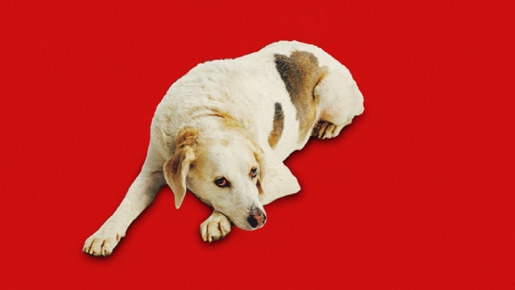 『ホルテンさんのはじめての冒険』 -(C) 2007 COPYRIGHT BulBul Film as ALL RIGHTS RESERVED