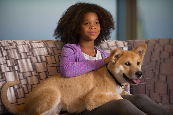 アニー（クワベンジャネ・ウォレス）＆愛犬サンディ／『ANNIE／アニー』　-(C)2014 Columbia Pictures Industries, Inc. and Village Roadshow FilmsNorth America Inc./Village Roadshow Films (BVI) Limited. All RightsReserved. Annie and related characters and elements: TM & c2014 TribuneContent Agency, LLC.