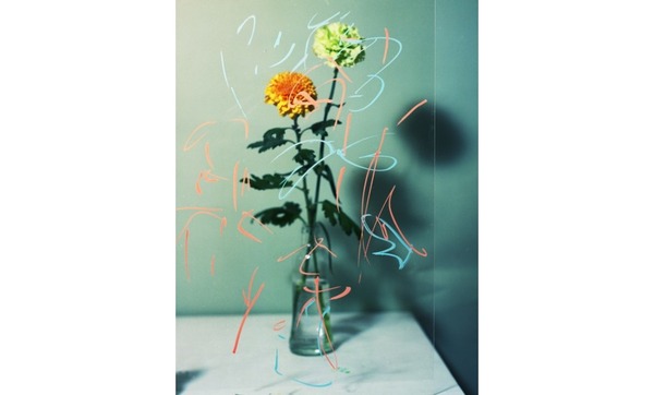 表参道・スパイラル「Nature Creations -Flowers-」。田中和人『pLastic fLowers』（2015）analog chromogenic print (hand printed by artist)Courtesy of Maki Fine Arts