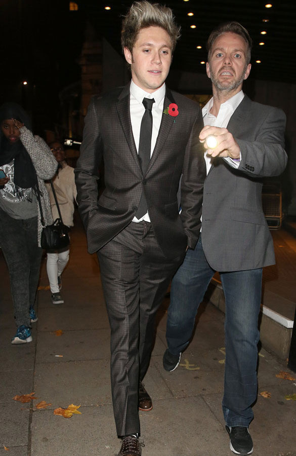 「1D」ナイル・ホーラン、新曲は「一夜限りの関係」について？