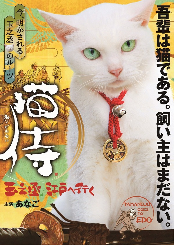 スペシャルドラマ「猫侍 玉之丞、江戸へ行く」(C)2016「猫侍SP」製作委員会　