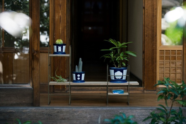 「そら植物園」と中川政七商店の新ブランド「花園樹斎」イメージ。