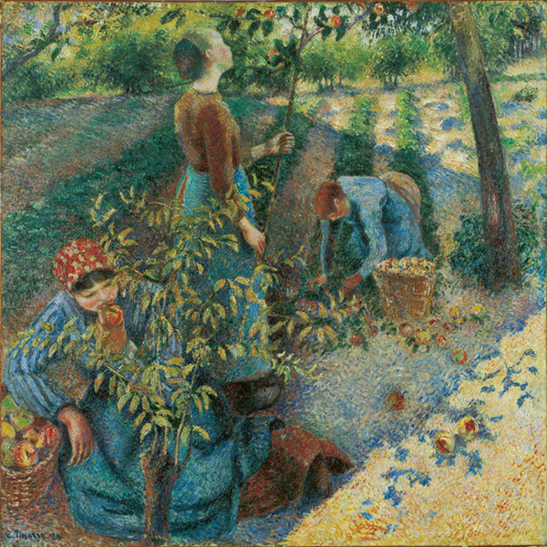 カミーユ・ピサロ 《りんご採り》1886年 / 125.8 × 127.4 cm / 油彩・カンヴァス