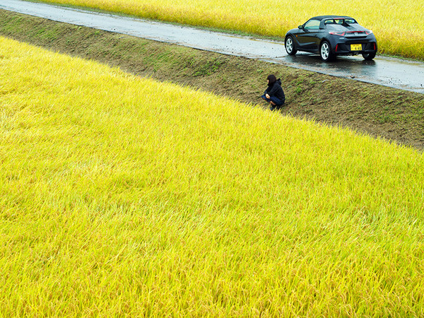 写真家の在本彌生、伊藤徹也、池田晶紀がホンダの車両「S660」を撮影した作品を展示する「ホンダ S660 デザイン/フォト エキシビション」が開催